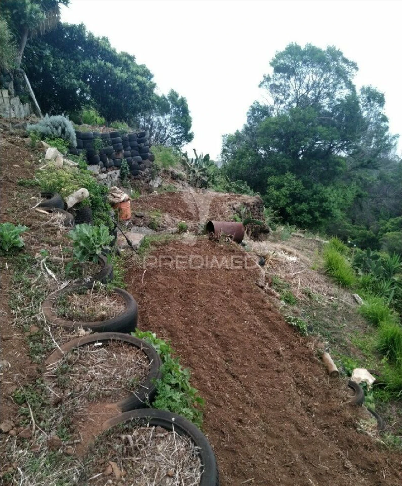 Terreno para Venda em Agua de Pena Foto 3