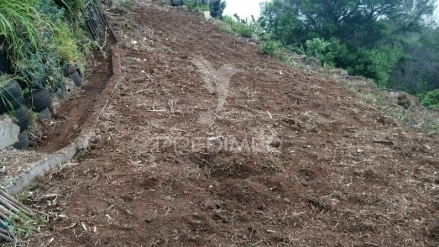 Terreno para Venda em Agua de Pena