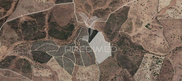 Terreno para Venda em Montalvão