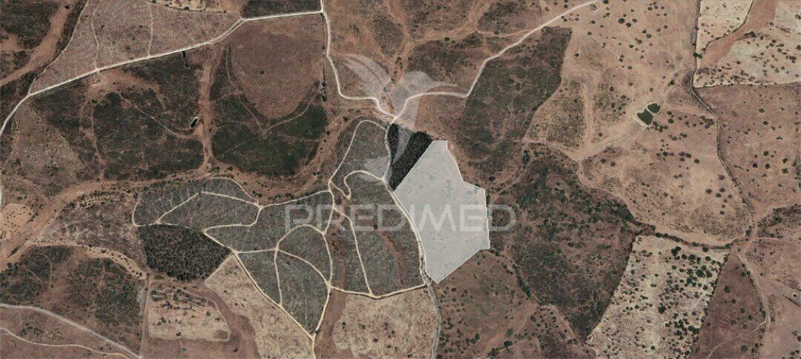 Terreno para Venda em Montalvão Foto 1