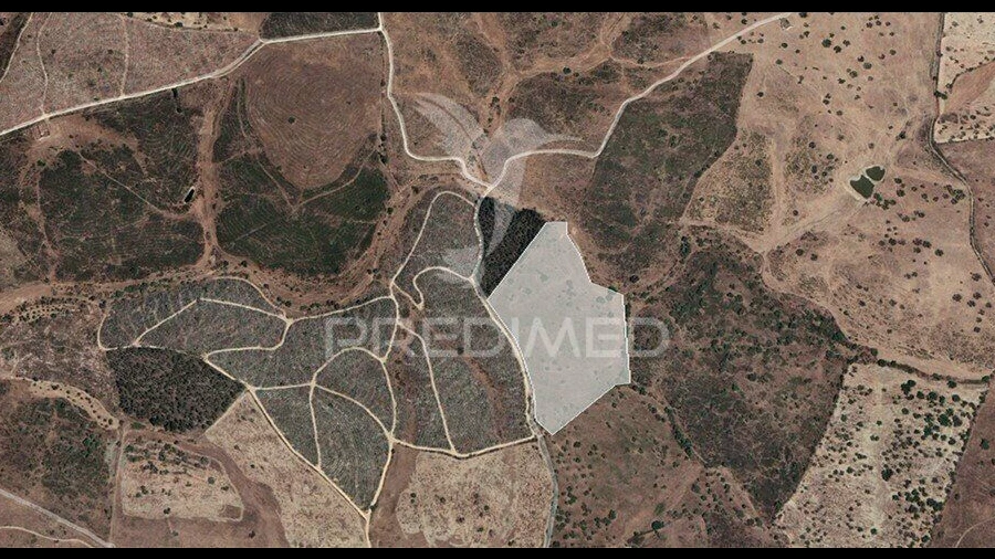 Terreno para Venda em Montalvão