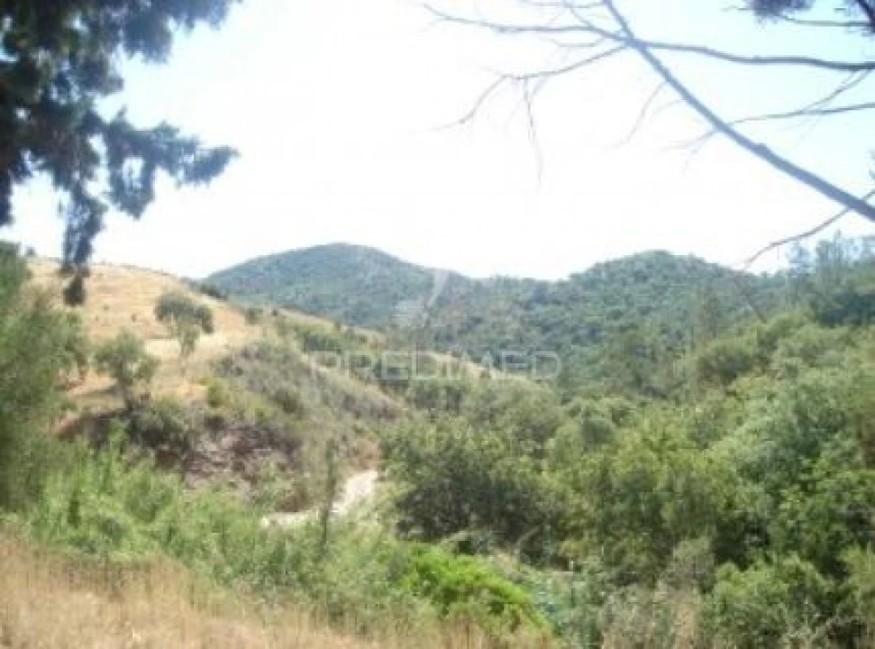Terreno para Venda em São Brás de Alportel Foto 4