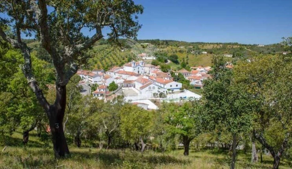 Terreno para Venda em São Martinho das Amoreiras Foto 5