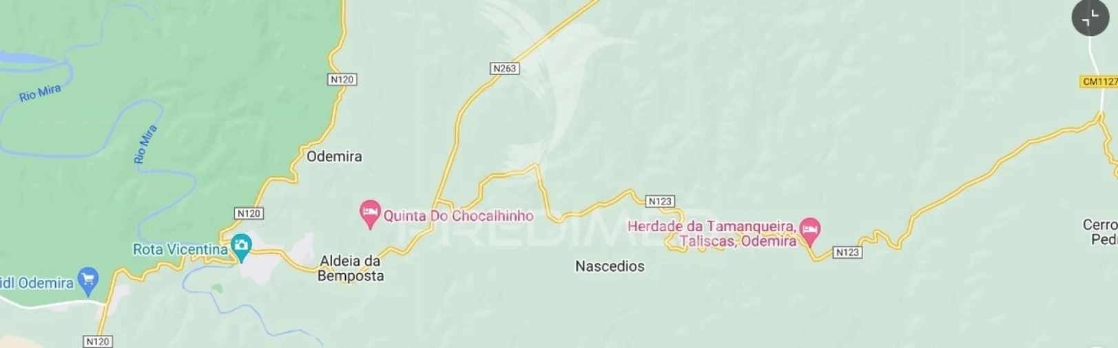 Terreno para Venda em São Martinho das Amoreiras Foto 3