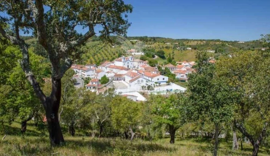 Terreno para Venda em São Martinho das Amoreiras Foto 10