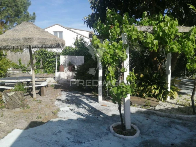 Moradia T4 para Venda em Carvalhal Foto 38