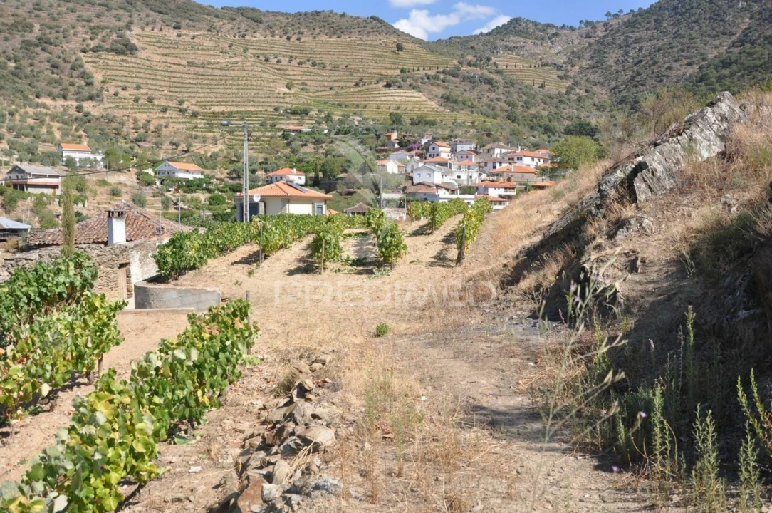 Quinta T3 para Venda em Seixo de Ansiães Foto 17