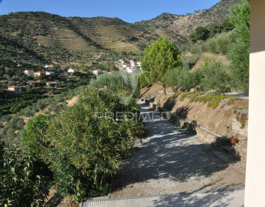 Quinta T3 para Venda em Seixo de Ansiães Foto 18