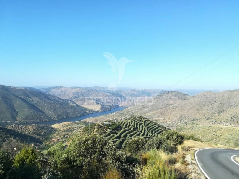 Quinta T3 para Venda em Seixo de Ansiães Foto 21
