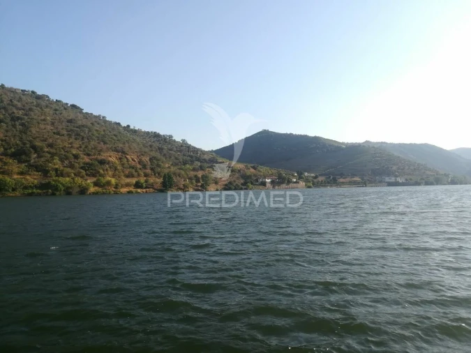 Quinta T3 para Venda em Seixo de Ansiães Foto 19