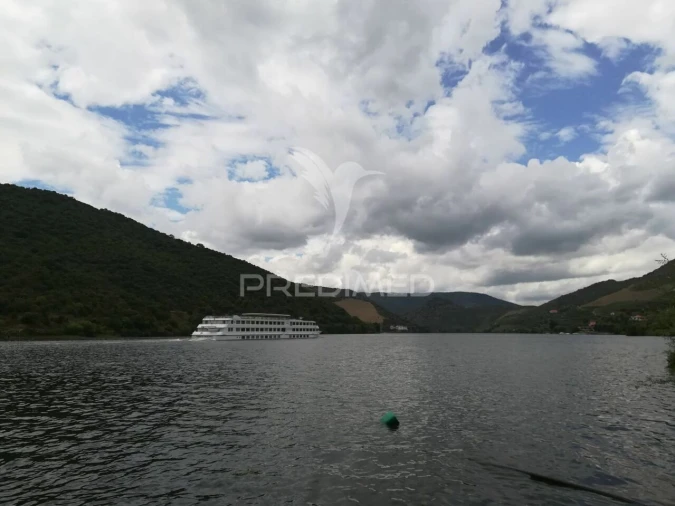 Quinta T3 para Venda em Seixo de Ansiães Foto 22