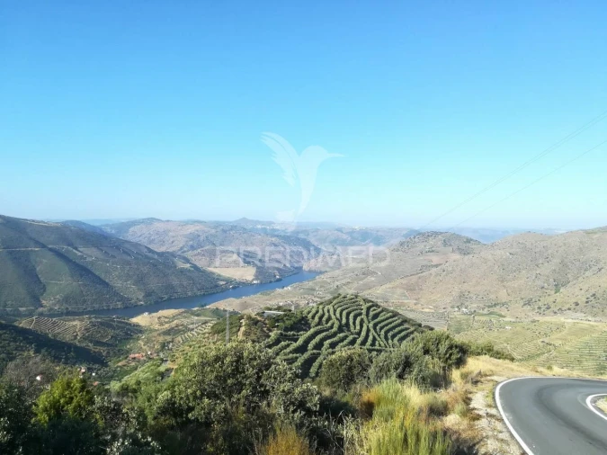 Quinta T3 para Venda em Seixo de Ansiães Foto 21