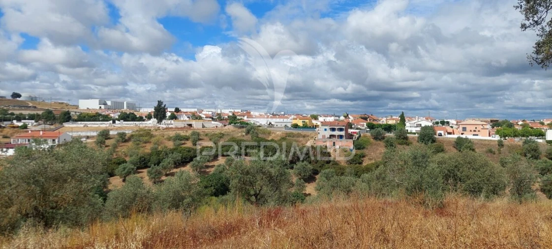 Terreno para Venda em Avis Foto 3