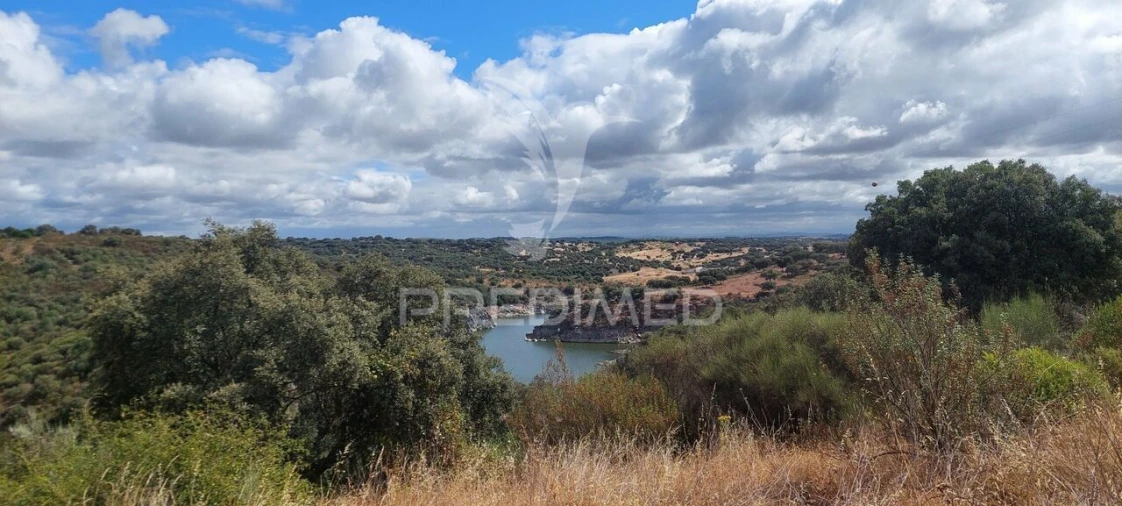 Terreno para Venda em Avis Foto 2