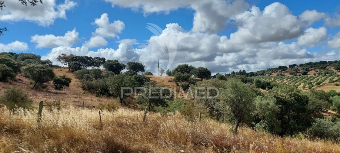 Terreno para Venda em Avis