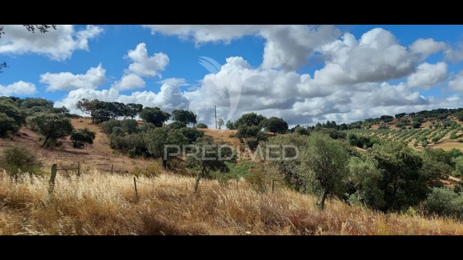 Terreno para Venda em Avis