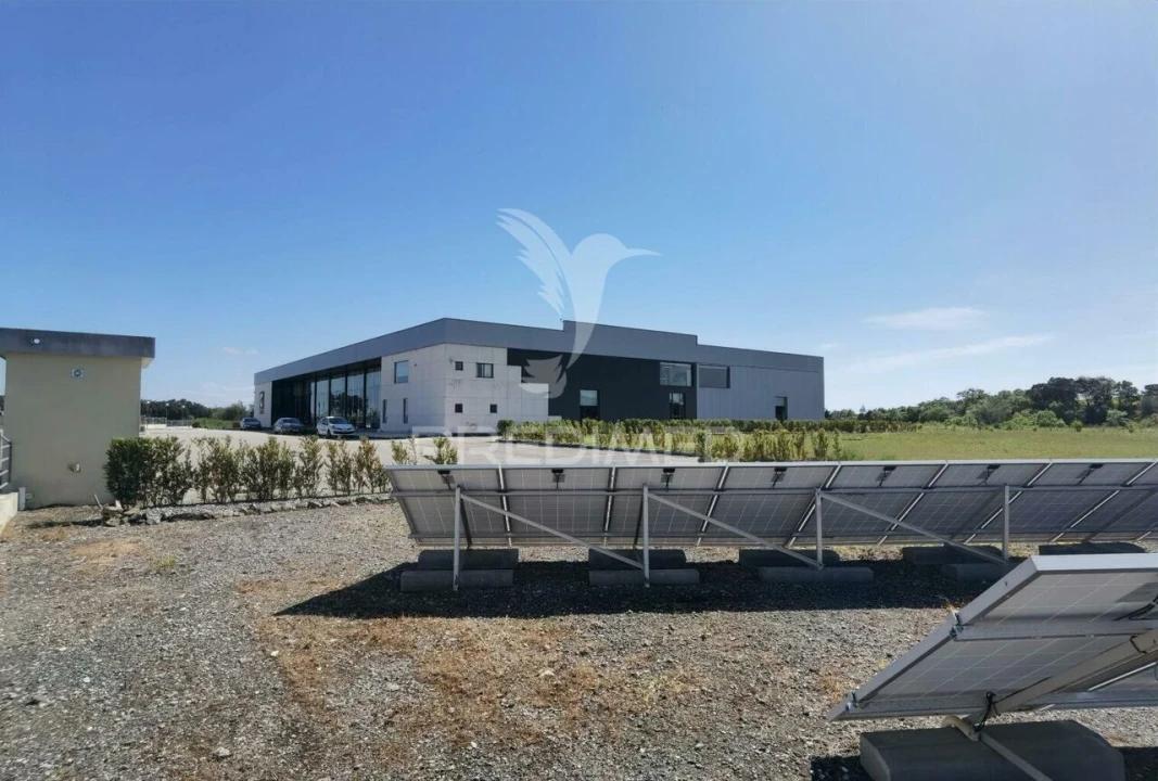 Armazém para Venda em Pernes Foto 10