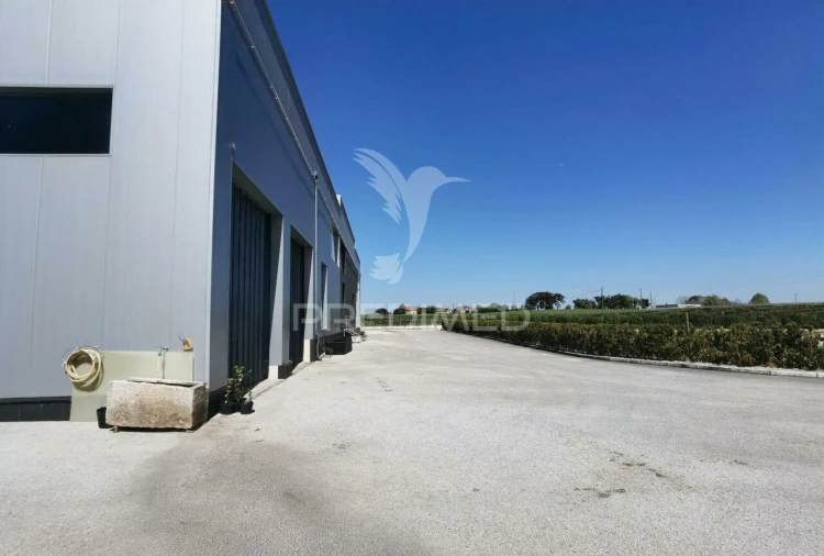 Armazém para Venda em Pernes Foto 6