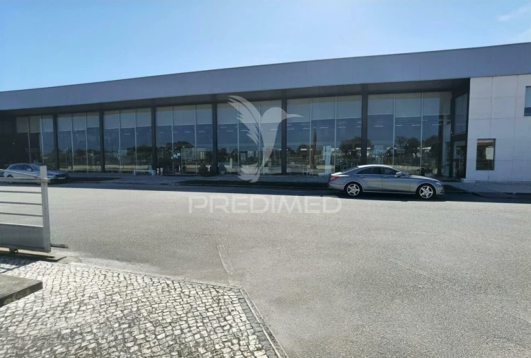 Armazém para Venda em Pernes Foto 13