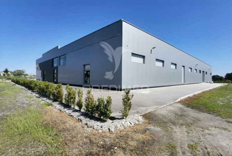 Armazém para Venda em Pernes Foto 7