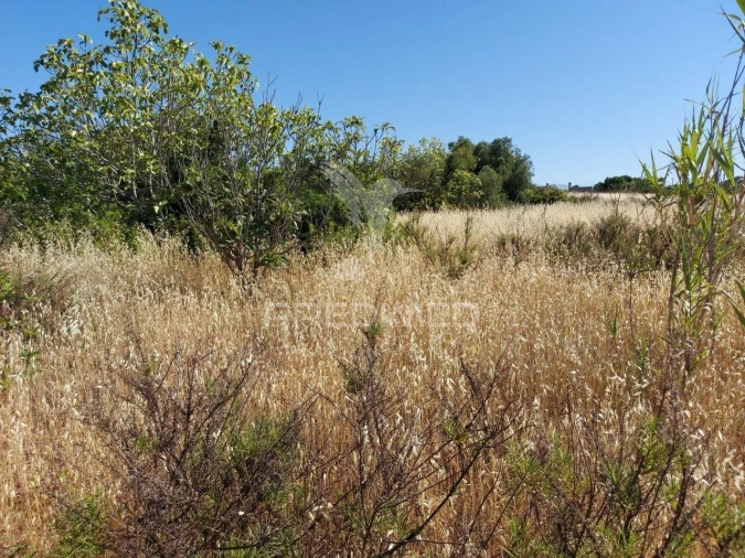 Terreno para Venda em Bensafrim e Barão de São João Foto 14