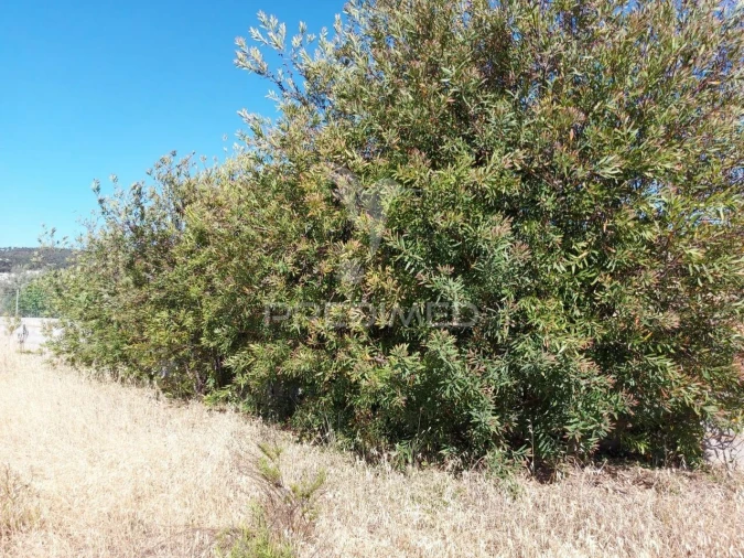Terreno para Venda em Bensafrim e Barão de São João Foto 7