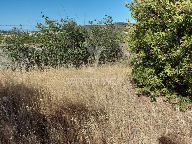 Terreno para Venda em Bensafrim e Barão de São João Foto 9
