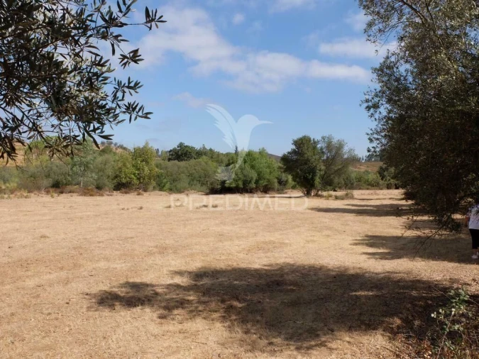 Terreno para Venda em São Marcos da Serra Foto 3