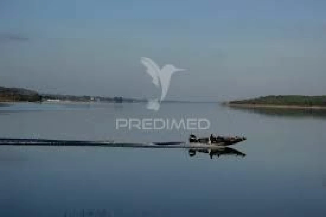 Terreno para Venda em Montargil Foto 6