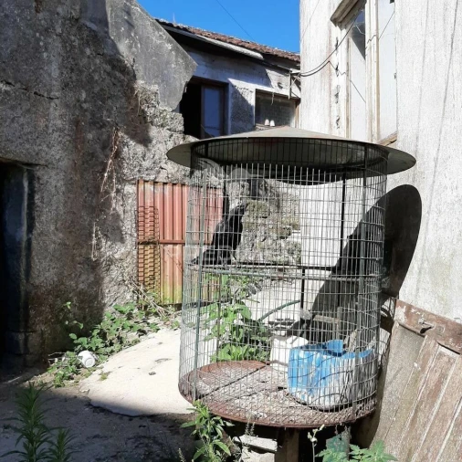 Moradia T4 para Venda em Frazão Arreigada Foto 13