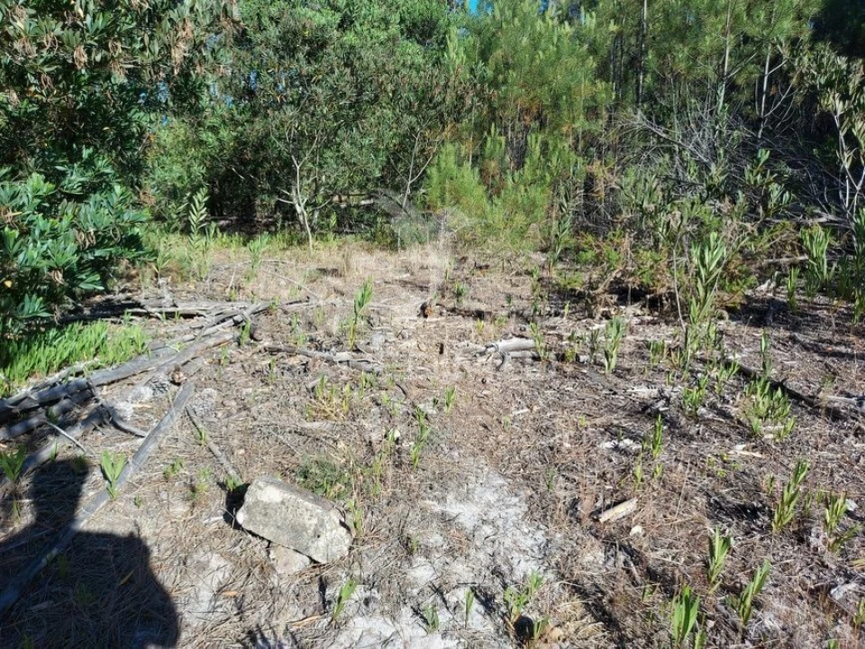 Terreno para Venda em Aljezur Foto 6