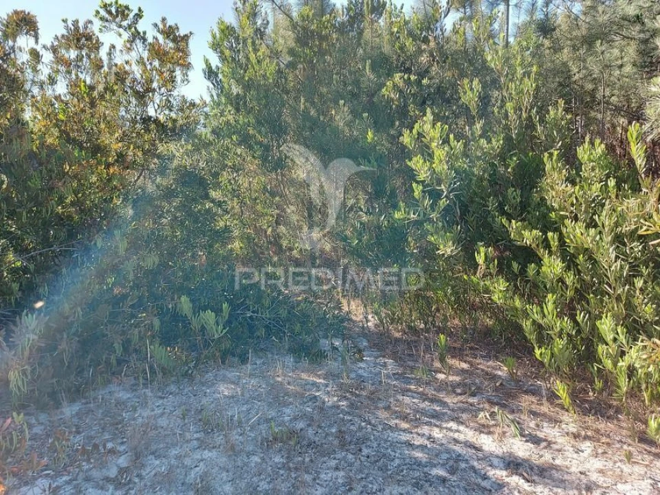 Terreno para Venda em Aljezur Foto 8