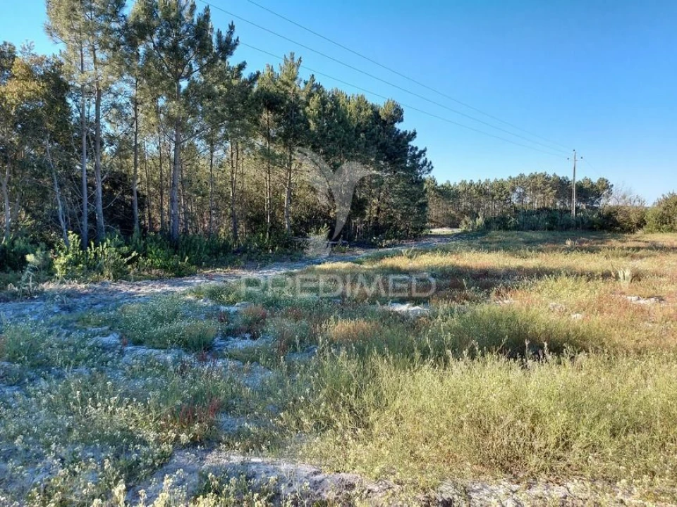 Terreno para Venda em Aljezur Foto 3