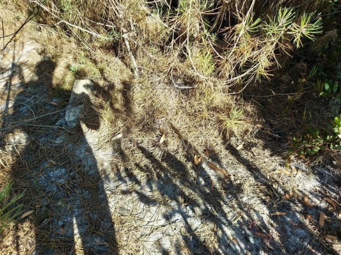 Terreno para Venda em Aljezur Foto 7