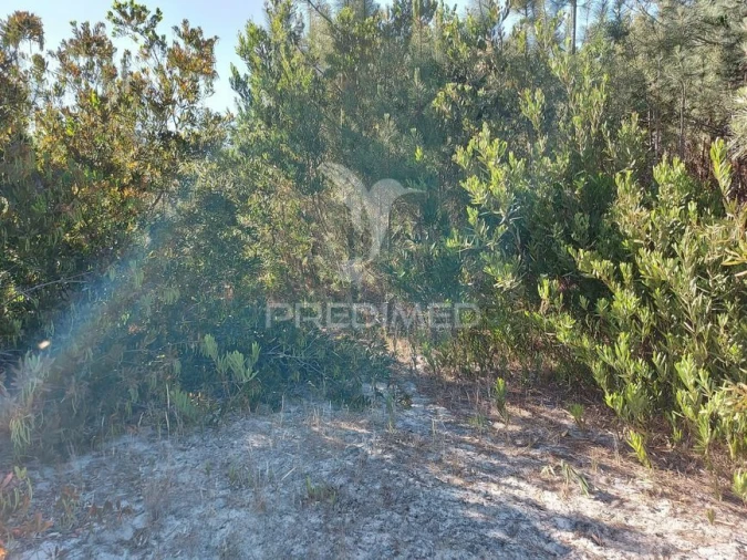 Terreno para Venda em Aljezur Foto 8