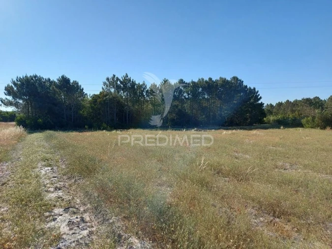 Terreno para Venda em Aljezur Foto 2