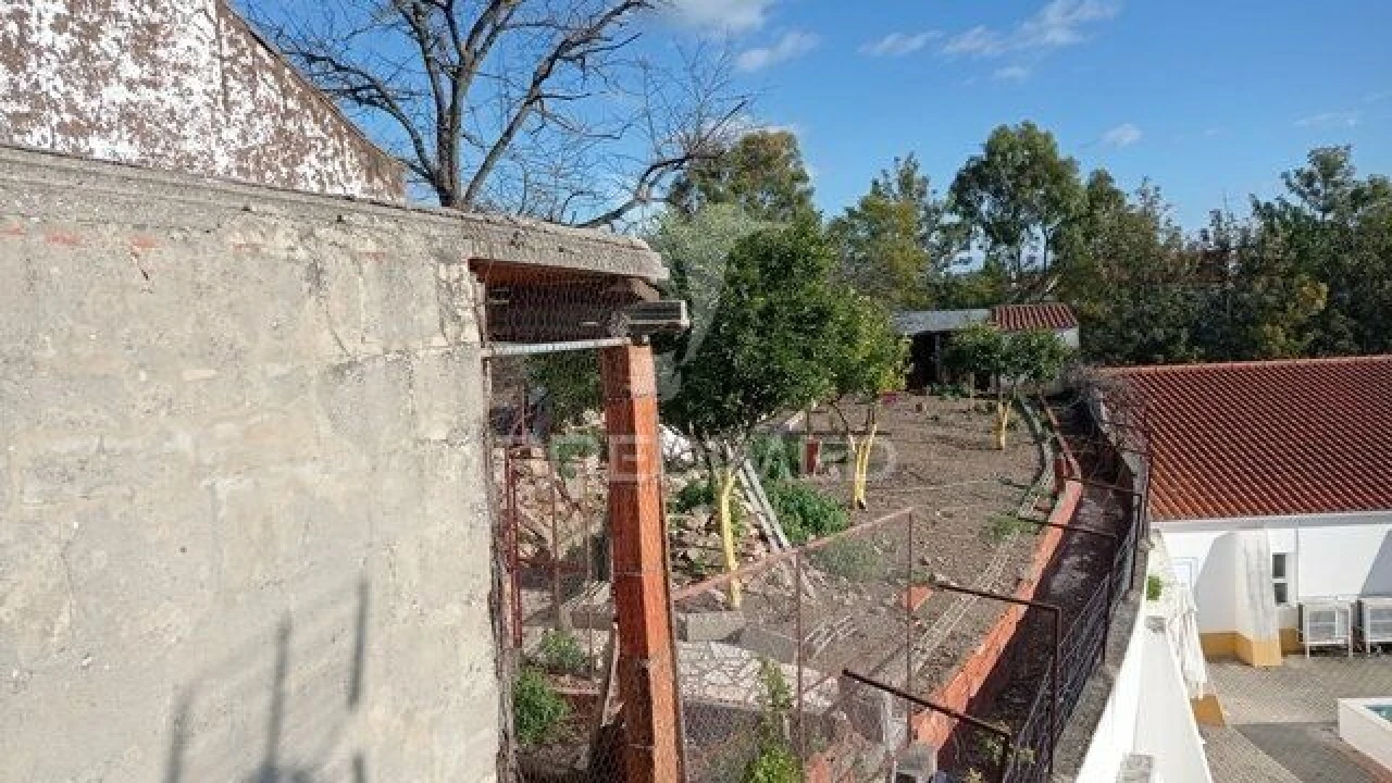 Moradia T3 para Venda em Cabeço de Vide Foto 21