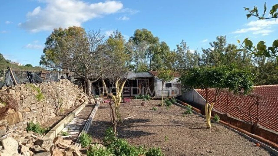 Moradia T3 para Venda em Cabeço de Vide Foto 20