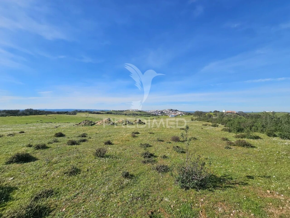 Terreno para Venda em Ourique Foto 3