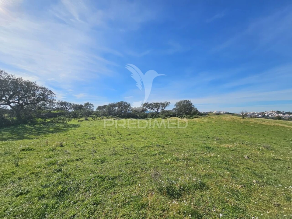 Terreno para Venda em Ourique Foto 10