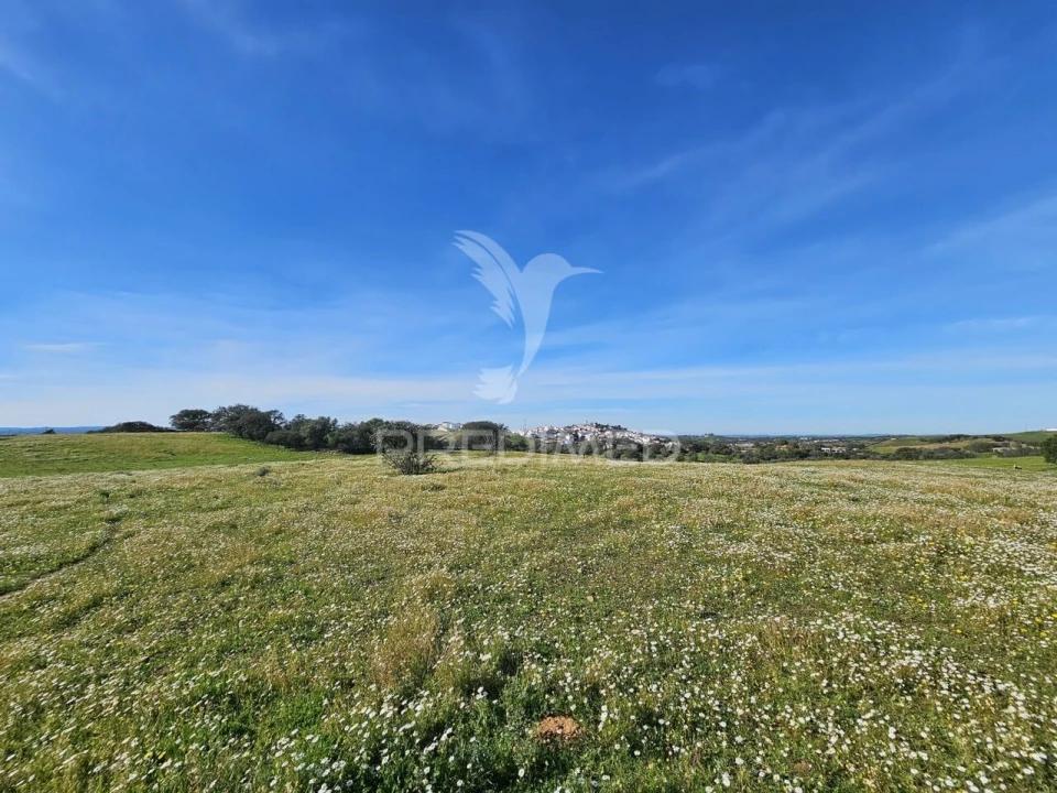 Terreno para Venda em Ourique Foto 14