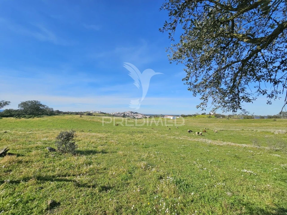 Terreno para Venda em Ourique Foto 9