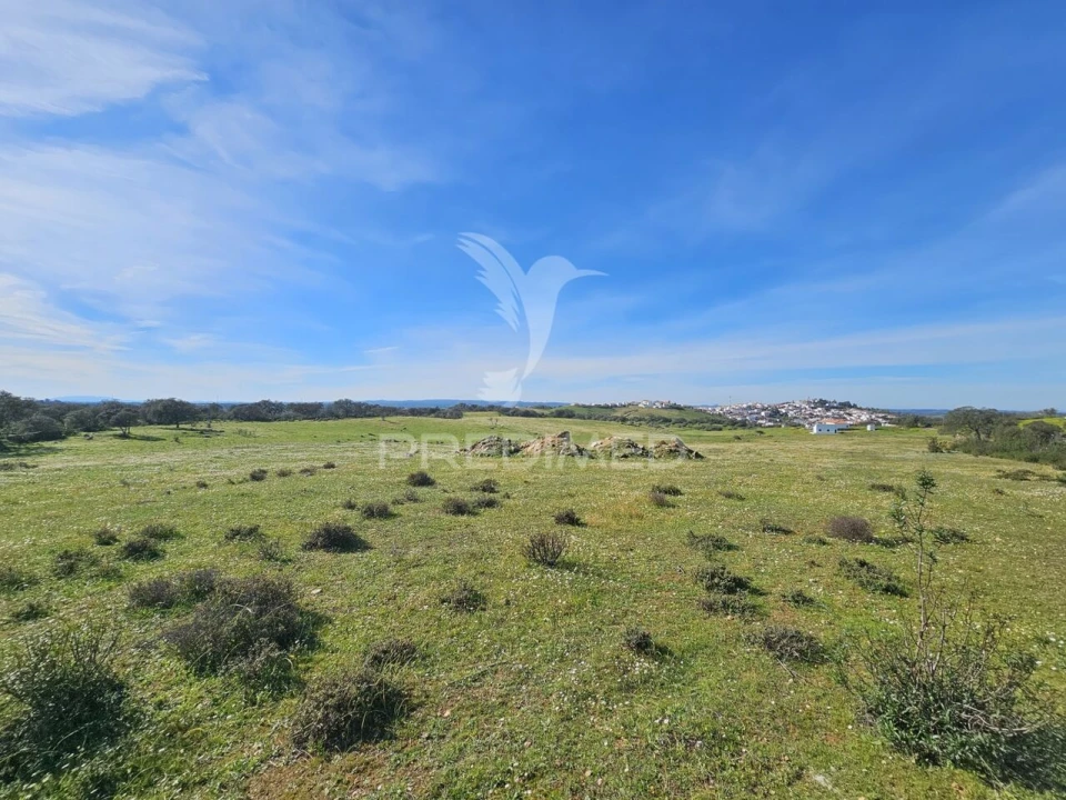 Terreno para Venda em Ourique Foto 4