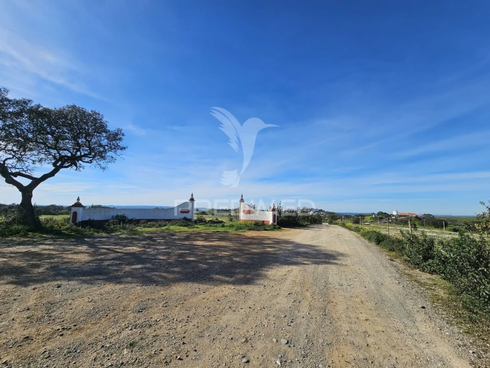 Terreno para Venda em Ourique Foto 21