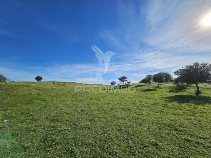 Terreno para Venda em Ourique Foto 20