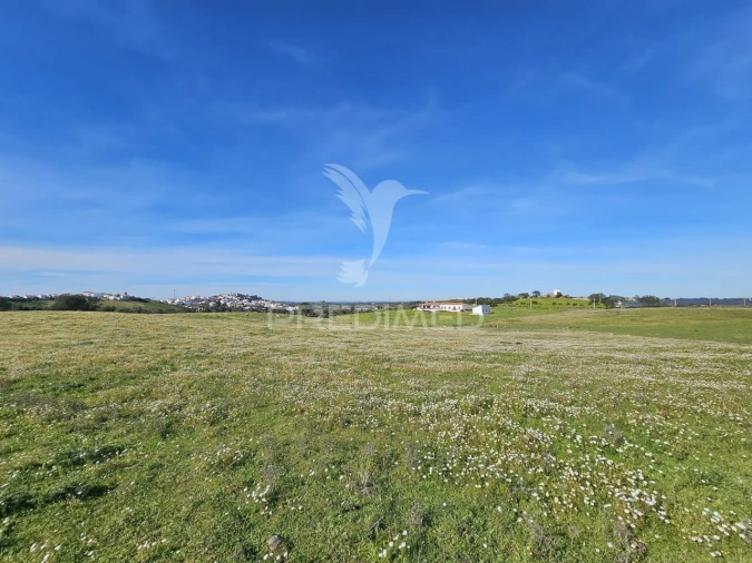 Terreno para Venda em Ourique Foto 12