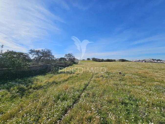 Terreno para Venda em Ourique Foto 13