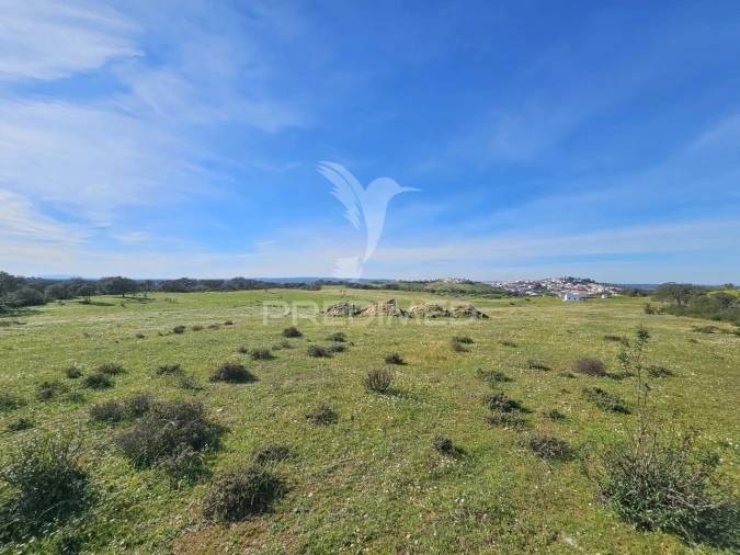 Terreno para Venda em Ourique Foto 4