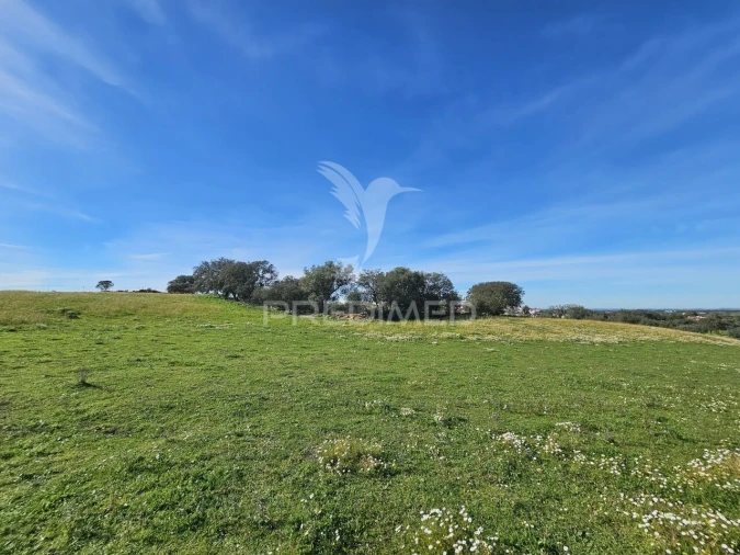 Terreno para Venda em Ourique Foto 15