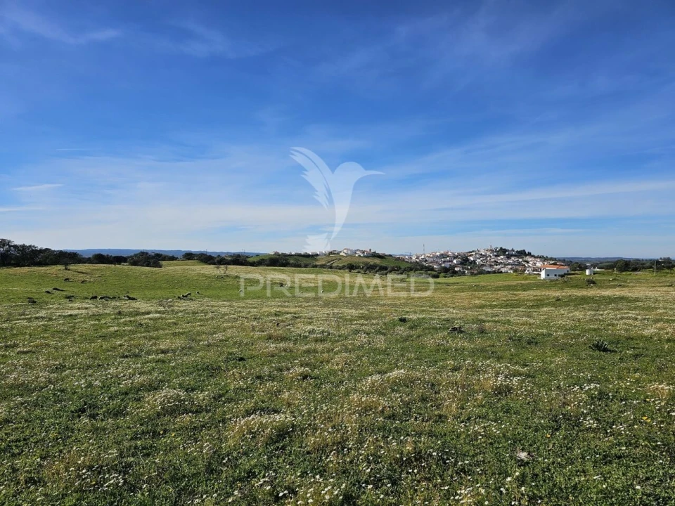 Terreno para Venda em Ourique Foto 5